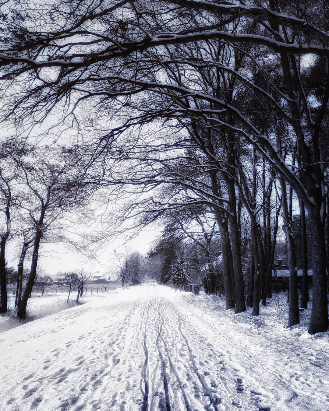 عکس های HD و 4K زمستان زیبا برفی و فانتزی با کیفیت بالا