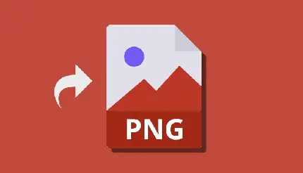 تفاوت و کاربرد های عکس‌ های PNG در طراحی گرافیکی