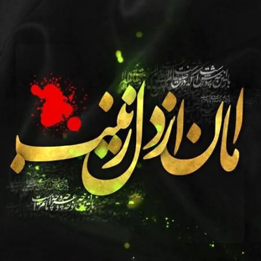 عکس امان از دل زینب برای پروفایل