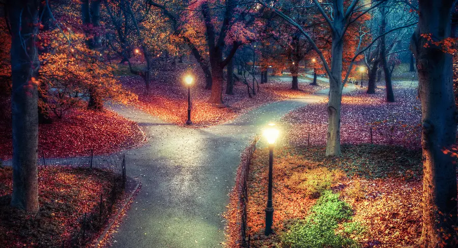 عکس پارک مرکزی نیویورک central park new york