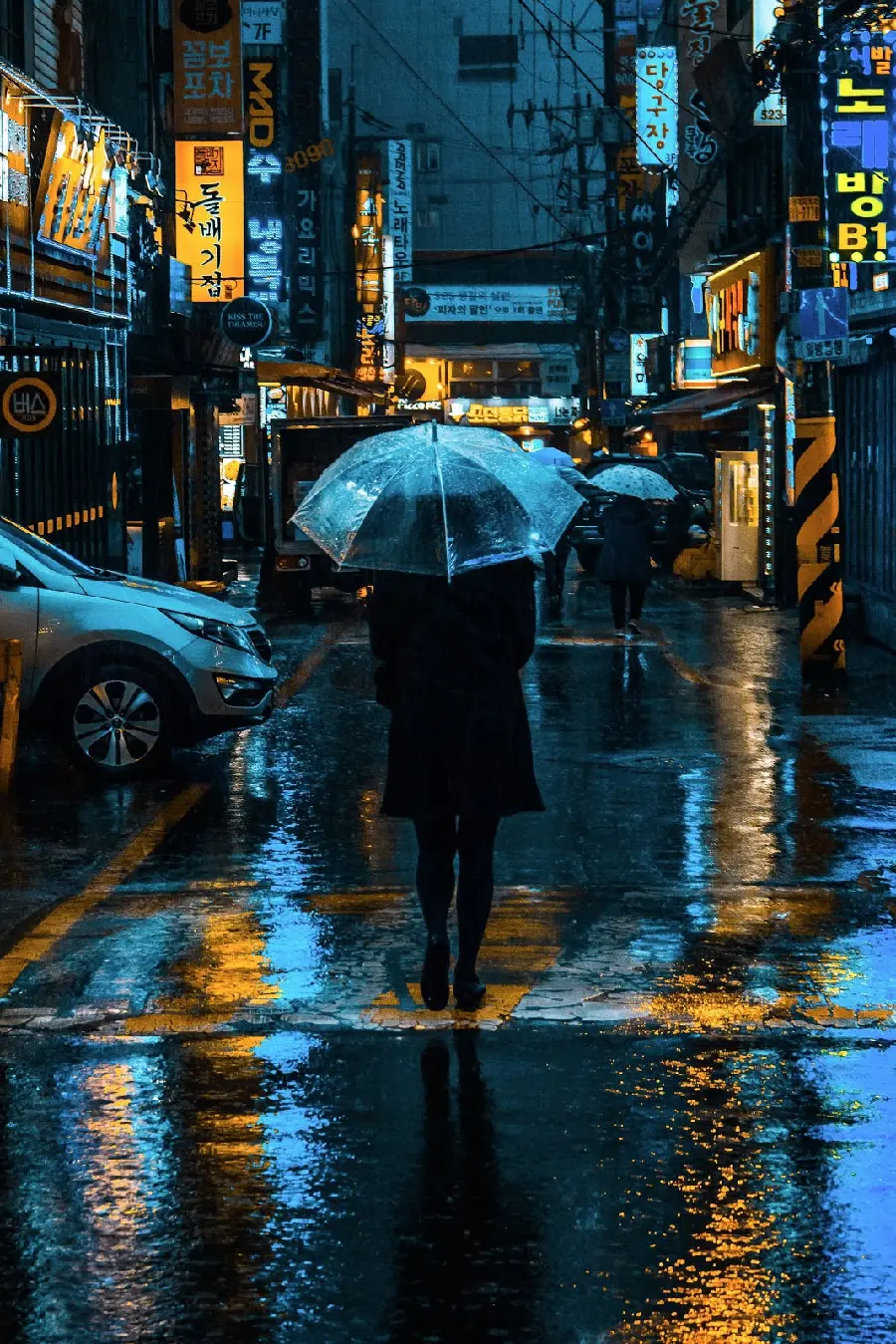 عکس شب بارانی در خیابان