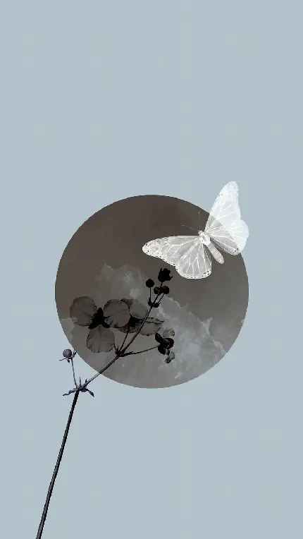 دانلود عکس والپیپر هنری ماه و پروانه با کیفیت بالا
