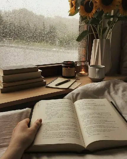 تصویر زمینه کتاب و کتاب خواندن در شب بارانی