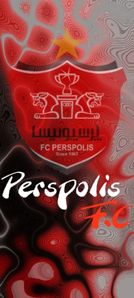 عکس تیک تاک کیوت