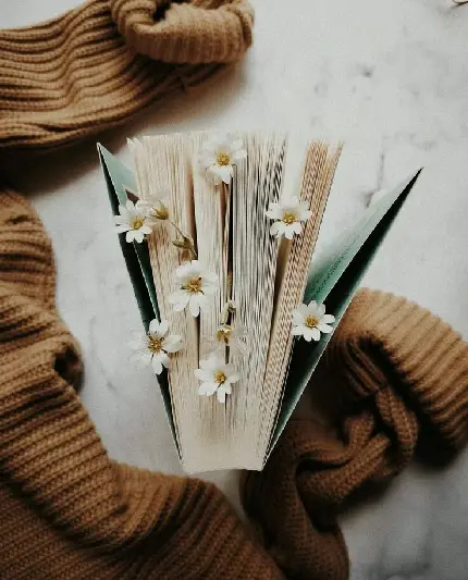 عکس گل های زیبا در لابه لای برگه های کتاب