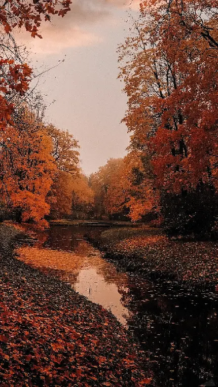 عکس برگ پاییزی فانتزی