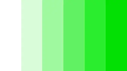 عکس روانشناسی رنگ سبز