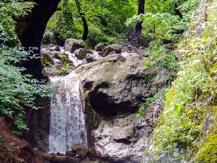 دانلود عکس آبشار سیاسرت رامسر با کیفیت بالا