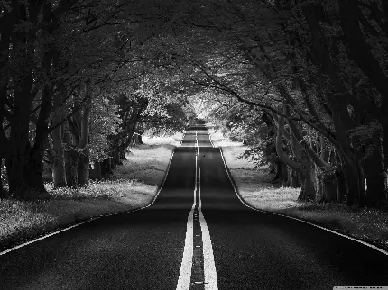 عکس سیاه سفید فانتزی دخترانه