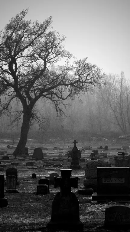 عکس ترسناک و جالب از قبرستان 