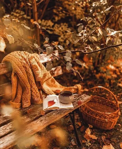 عکس غروب زیبا برای پروفایل