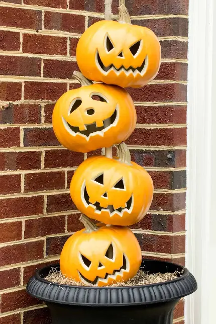 عکس چند کدوتنبل تزئین شده برای هالووین