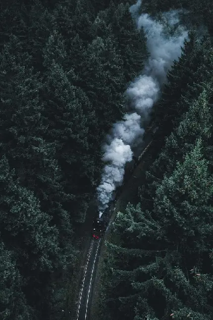 دانلود تصویر زمینه قطار که از میان جنگل تاریک عبور میکند