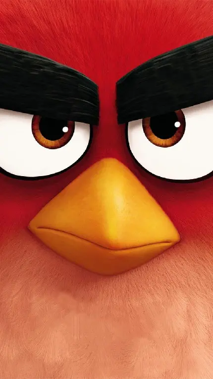 دانلود والپیپر انیمیشن پرندگان خشمگین