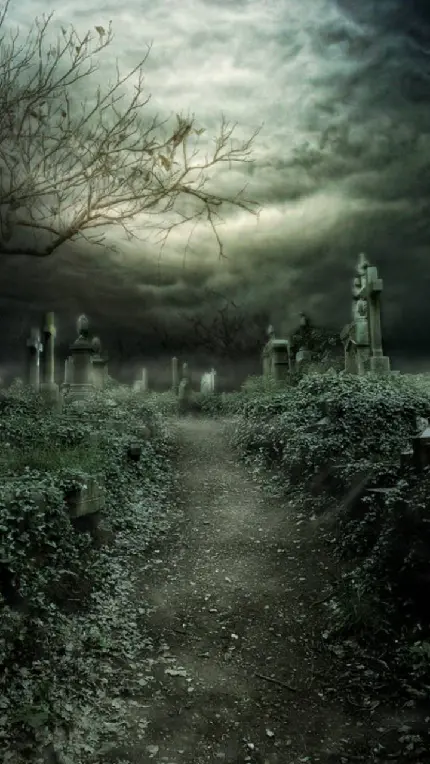 عکس زیبا و ترسناک از قبرستان