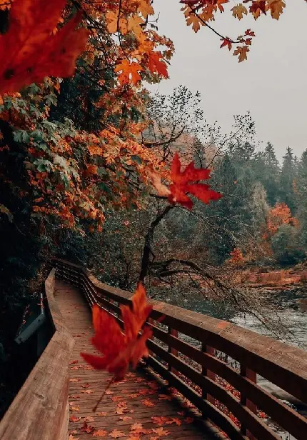 عکس کریسمس در ایران