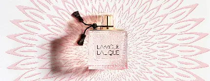 عطر لالیک لامور Lalique L’Amour