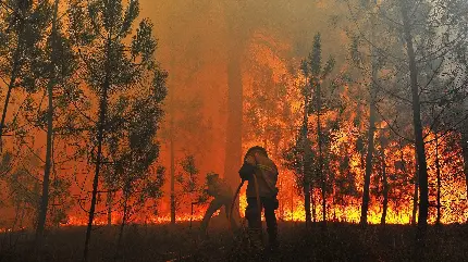 عکس از آتش نشان ها در آتش سوزی