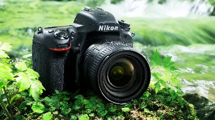 عکس دوربین عکاسی Nikon D850