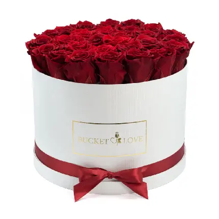 زیباترین عکس گل رز قرمز