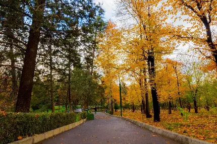 دانلود عکس بوستان و پارک زیبای ملت در تهران