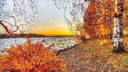 عکس بسیار زیبا از منظره پاییزی با طلوع آفتاب
