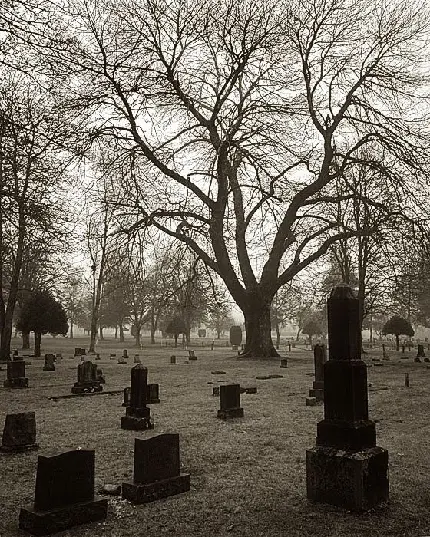 عکس زیبا و سیاه سفید از قبرستان 