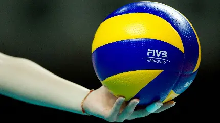 عکس توپ مخصوص ورزش والیبال