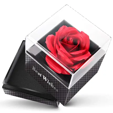 تصویر باکس گل رز قرمز تکی 