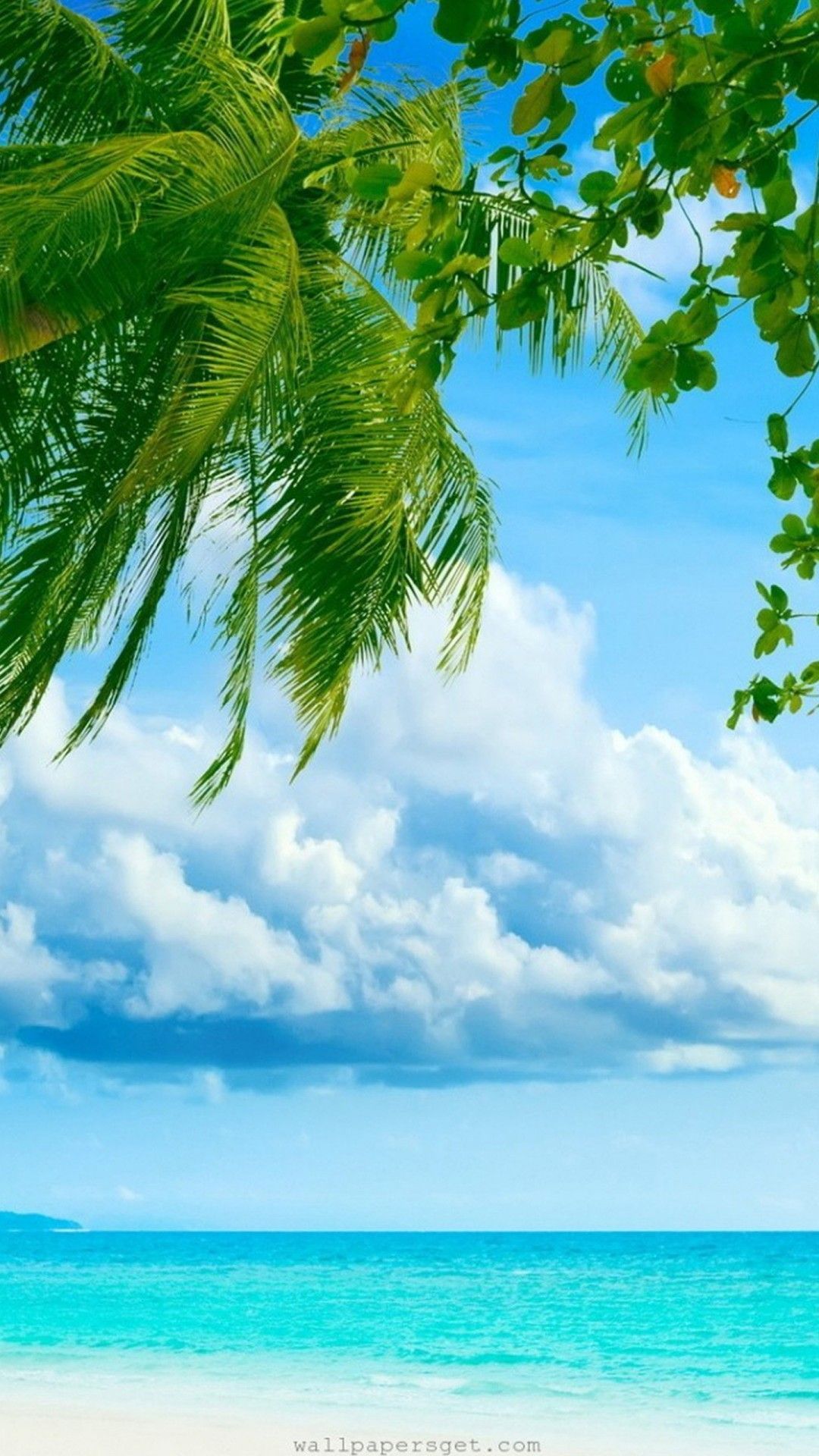 تصویر زمینه صاحل آفتابی برای آیفون 7