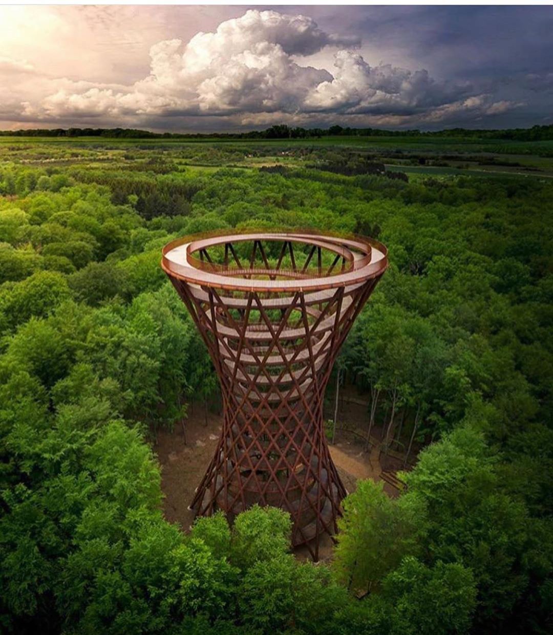 عکس هایی از برج جنگلی در دانمارک
