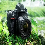 چاپ قاب موبایل و گوشی عکس دوربین عکاسی Nikon D850