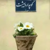 چاپ قاب موبایل و گوشی خصوصیات اخلاقی اردیبهشت ماهی‌ها