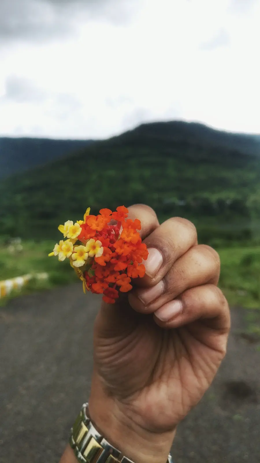 عکس ماکرو از گل با جزئیات ظریف
