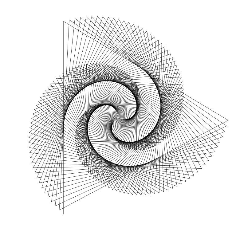 الگوی فیبوناچی در طبیعت با کیفیت 4K