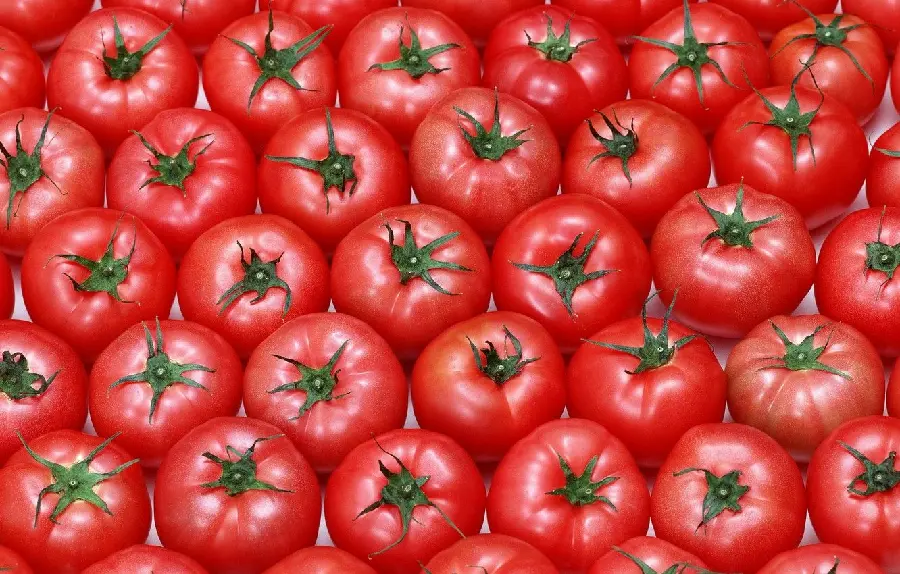 عکس با کیفیت گوجه فرنگی برای تولید محتوا