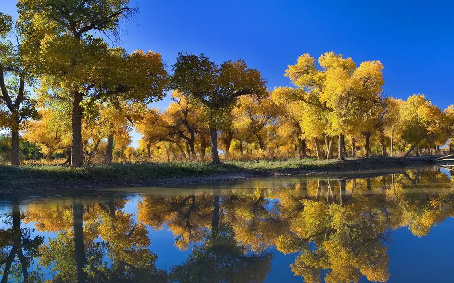 عکس های طبیعت با کیفیت 4K برای دانلود رایگان