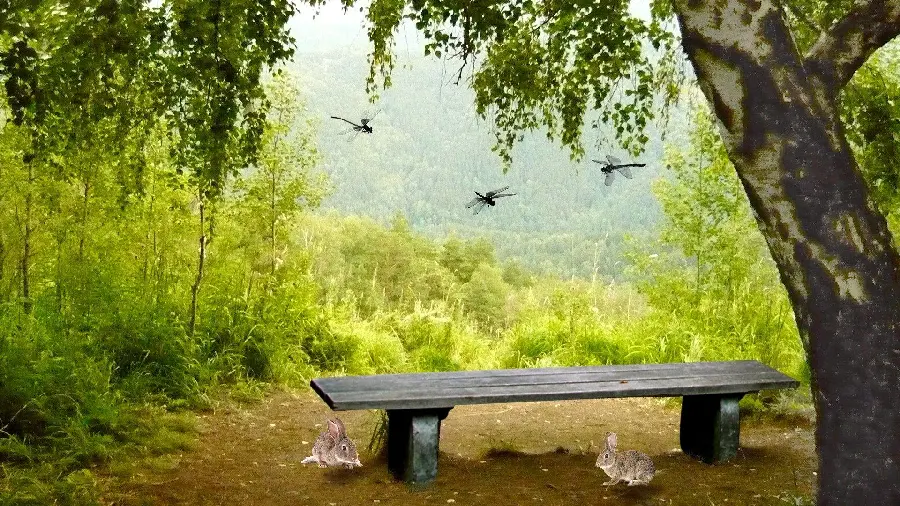 تصویر زمینه انتزاعی طبیعت با کیفیت فول اچ دی برای دانلود رایگان