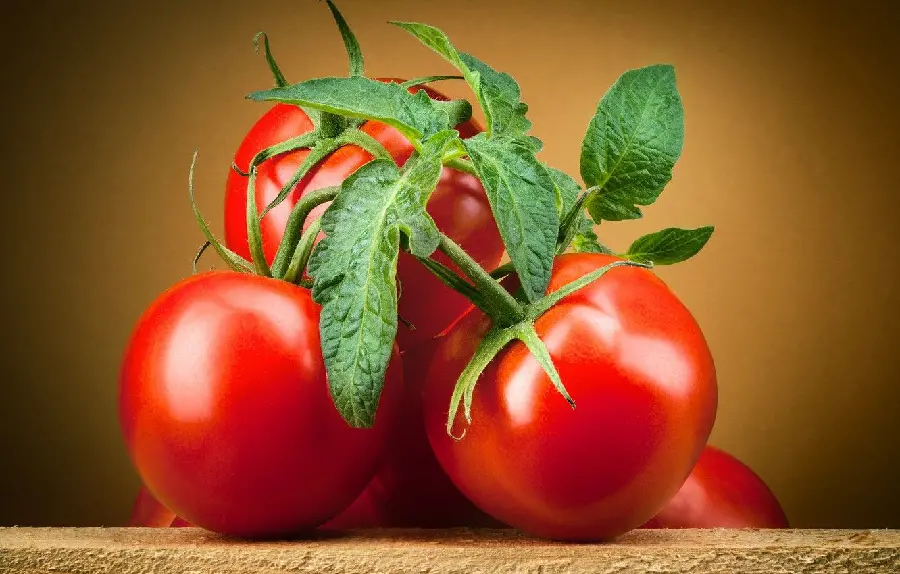 تصویر زمینه زیبای گوجه فرنگی برای طراحی گرافیکی