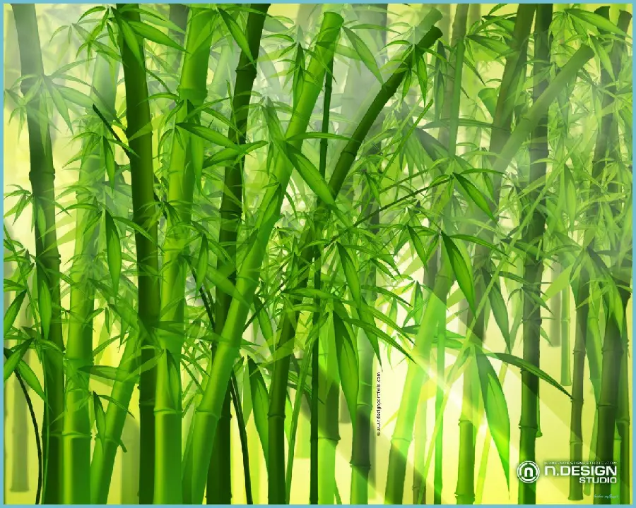 تصویر زمینه دسکتاپ بامبو با کیفیت Full HD برای دانلود