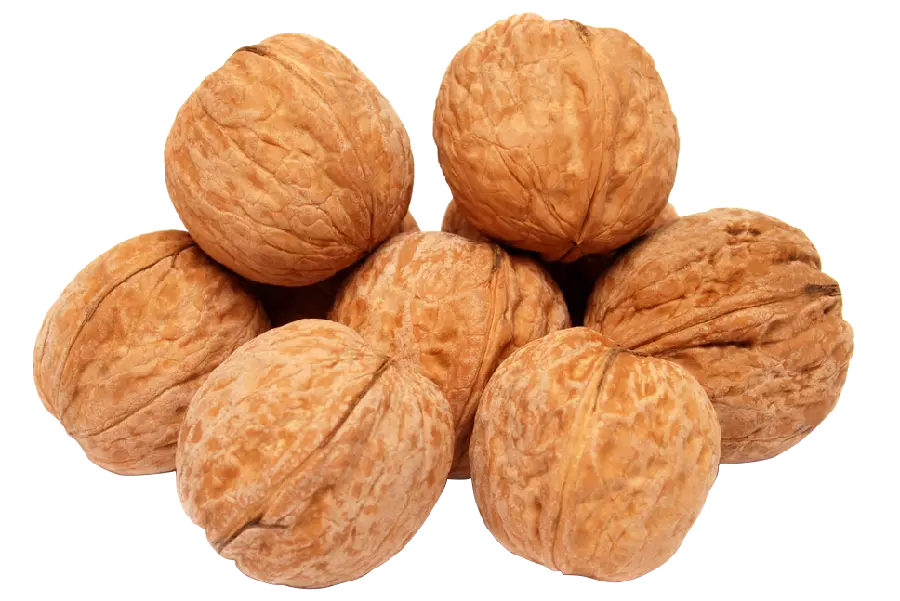 عکس پی ان جی گردوی مرغوب با کیفیت 4K برای استفاده گرافیکی