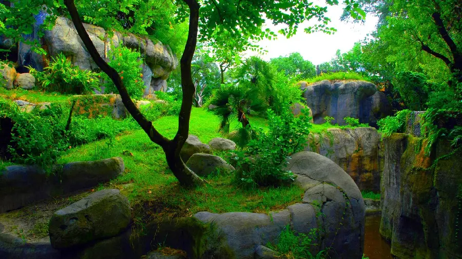 عکس هنری طبیعت انتزاعی با کیفیت اچ دی برای دانلود رایگان