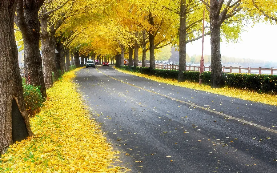 تصاویر پاییزی با مناظر طبیعی و رنگ های گرم