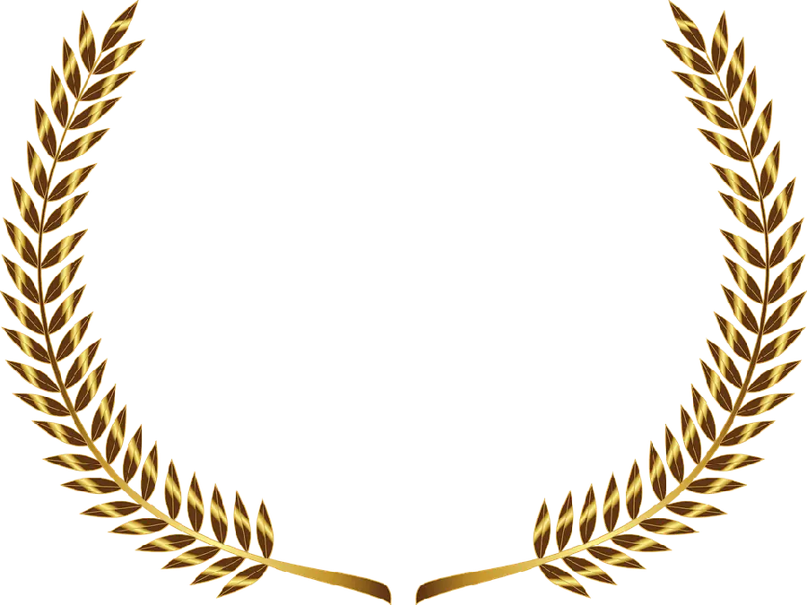 تصویر برگ زیتون برای لوگو با فرمت PNG و کیفیت بالا