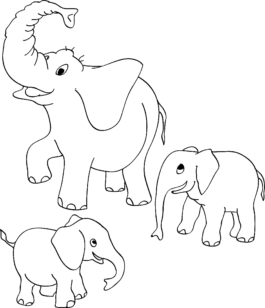 طرح گرافیکی فیل PNG بدون پس زمینه با کیفیت بالا