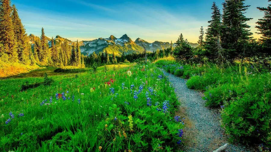 عکس زمینه انتزاعی طبیعت با کیفیت اچ دی برای دانلود رایگان
