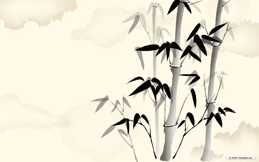 عکس مینیمال بامبو با کیفیت 4K برای دانلود رایگان