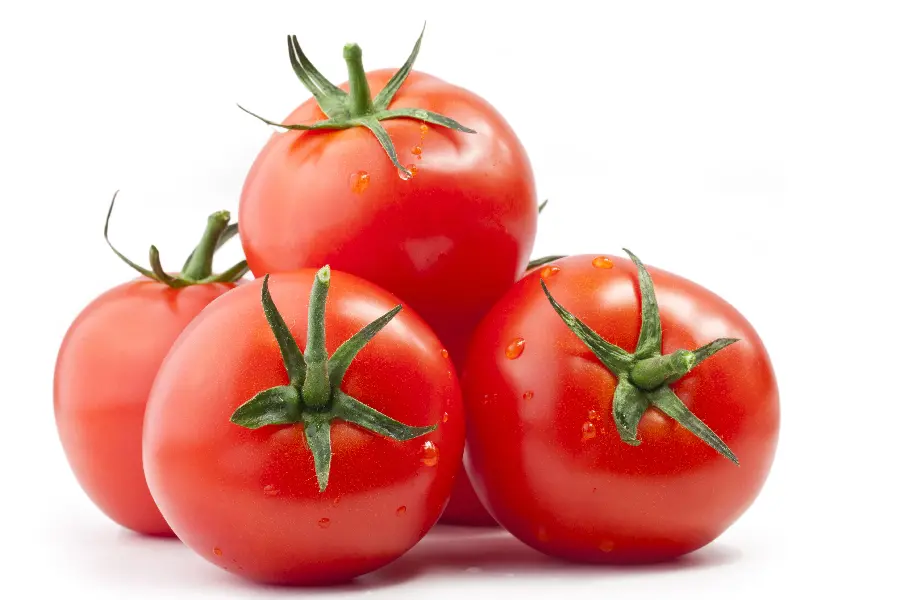 طرح گرافیکی گوجه فرنگی با کیفیت بالا برای دانلود