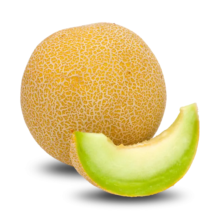 عکس واقعی و سالم میوه خر بزه با کیفیت HD