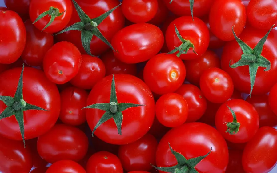 عکس با کیفیت گوجه فرنگی برای طراحی و گرافیک